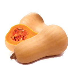 Pumpkin Butternut Whole
