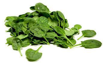 Baby Spinach Clam 100G