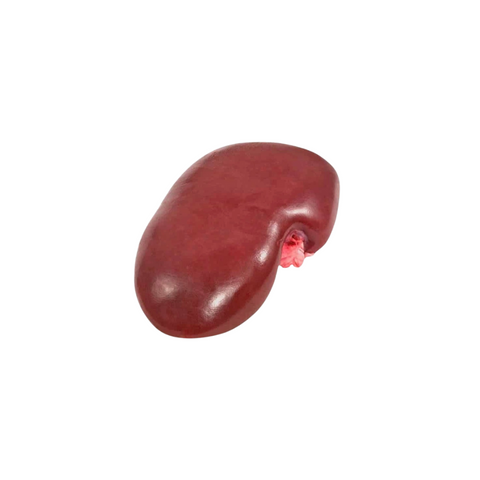 Pastured Pork Kidneys 500g