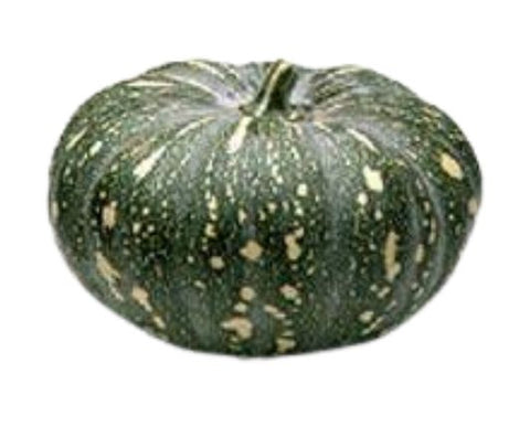 Pumpkin Jap Half
