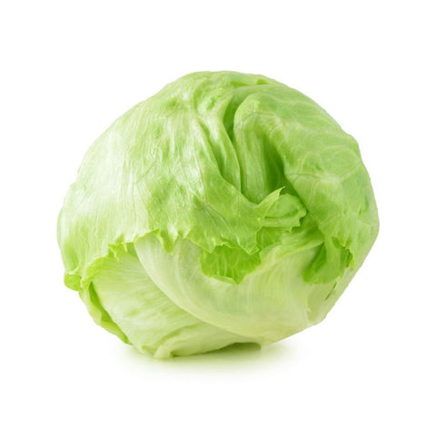 Lettuce Iceberg Each