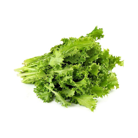 Endive Bunch