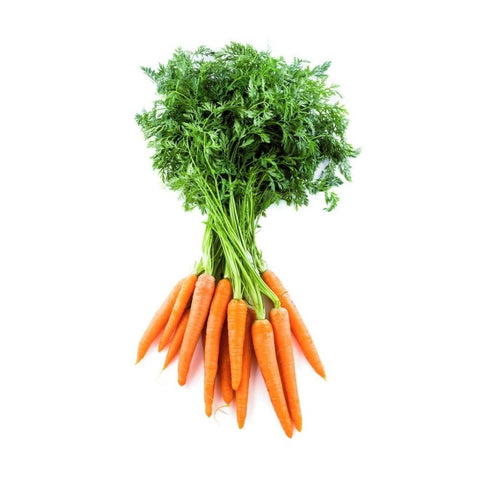 Carrots Dutch Bunch