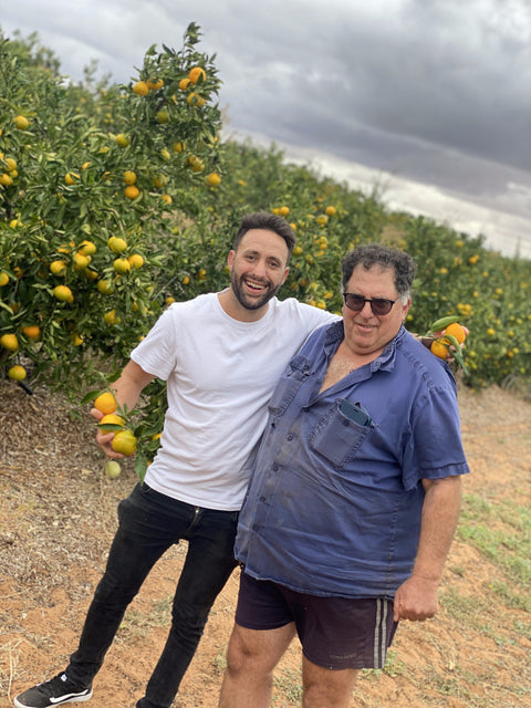 Stonefruit Insights - The difference in stones Clingstone vs Slipstone aka Freestone