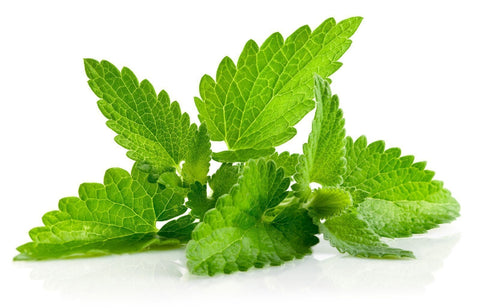 Mint Bunch
