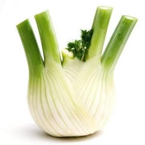 Fennel Local Head