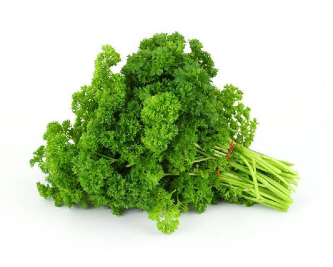 Parsley Curly Bunch