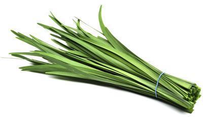 Chives Bunch