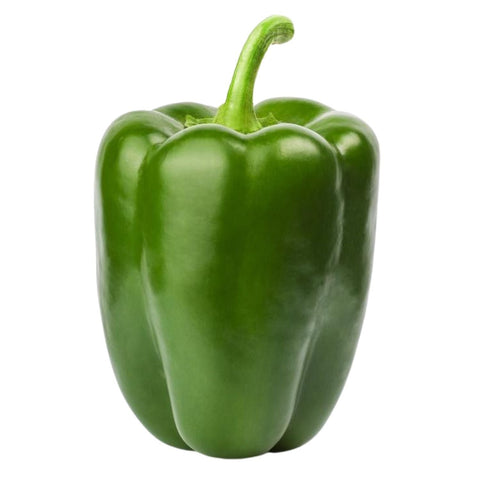 Capsicum Green Each