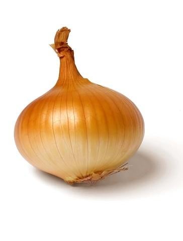 Onion Brown Each