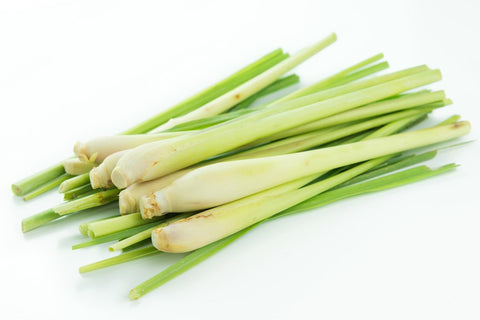 Lemon Grass Stick Each