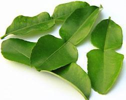 Kaffir Lime Leaf 10G Punnet