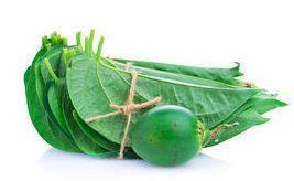 Betel Leaf Bunch