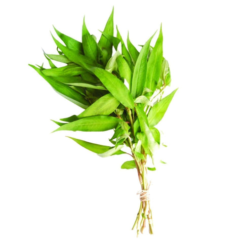 Vietnamese Mint Bunch