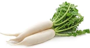 Radish White Daikon Each