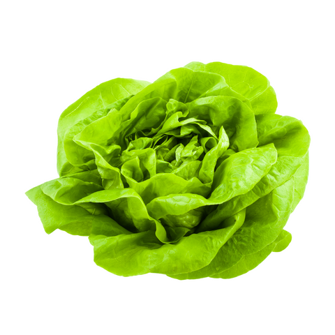 Lettuce Butter Each
