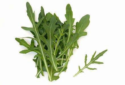 Lettuce Rocket Wild Punnet 100G