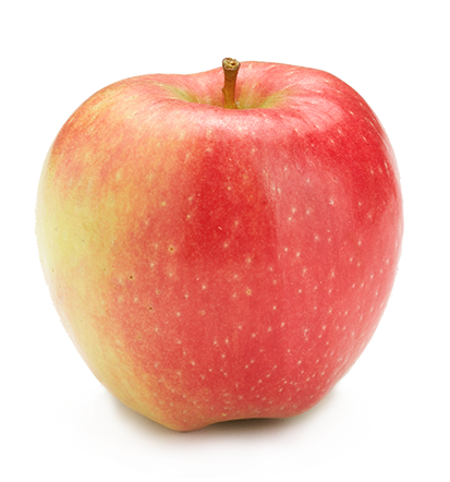 Apple Pink Lady Giant Each