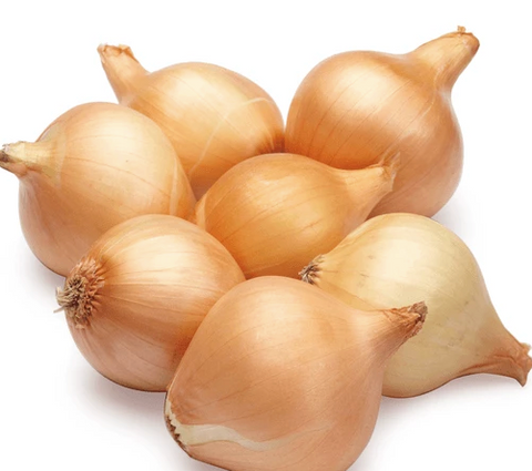 Onions Baby Brown x 5