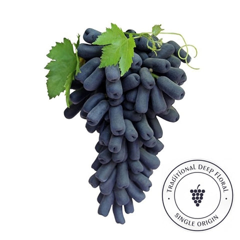 Grapes Sapphire Seedless Premium 500g Punnet