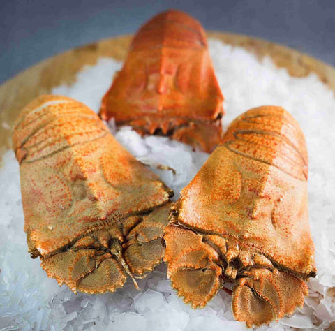 Moreton Bay Bug Cooked KG 6-8pcs