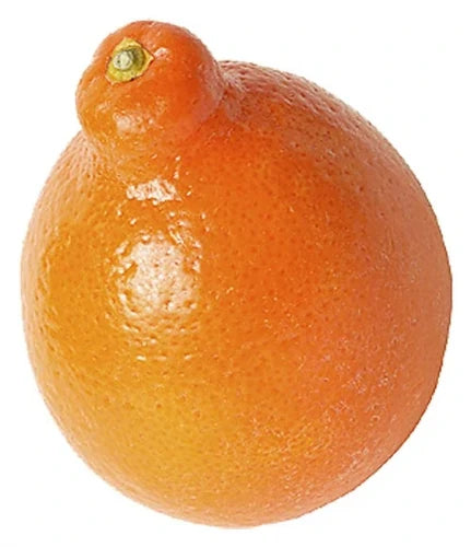 Tangelo x 3