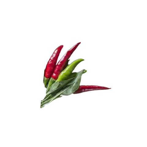 Chilli Small Thai X 5