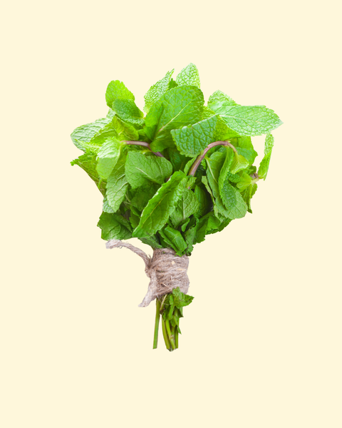 Mint Bunch