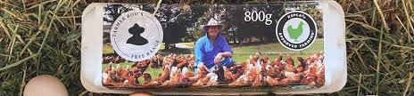 Egg Real Free Range 500G Dozen - Farmer Bill and Rod Pope (Highland Fresh)