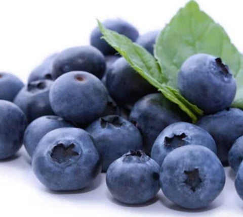 Blueberries GIANT