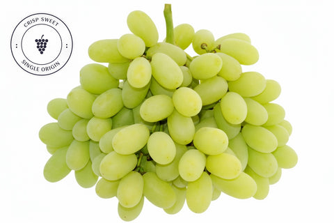 Grapes Green Sweet Globe Premium 500G Punnet