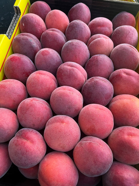 Apricot Punnet 250g - Rougecot variety