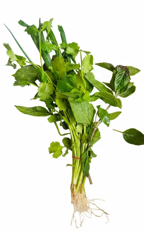 Mixed Asian Herb Bunch