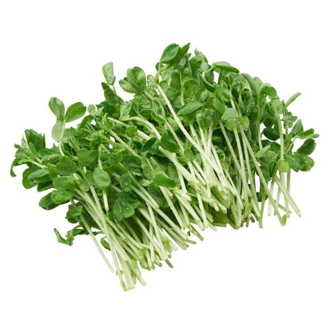 Sprouts Snowpea Punnet Each