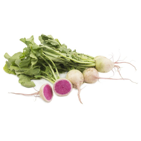 Radish Watermelon Bunch