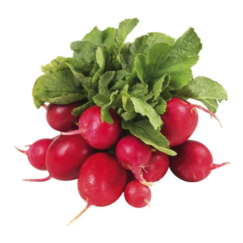Radish Red Bunch