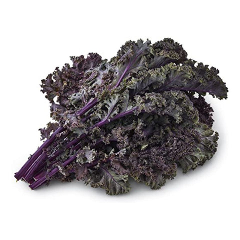 Kale Purple Bunch