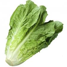 Lettuce Large Cos Each