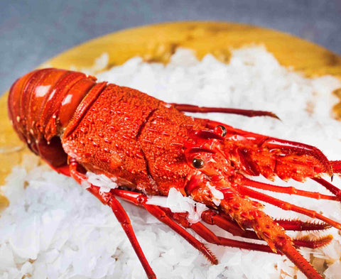 Lobster Cooked KG  Western Rock 2 pcs