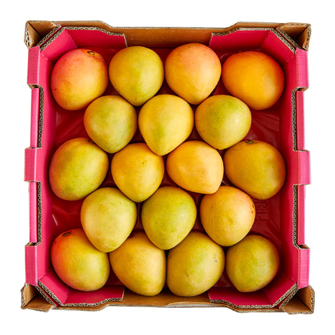 Mango Premium Kensington Pride Tray - RIPE