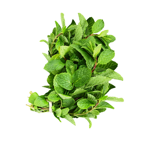Mint Round Bunch Each