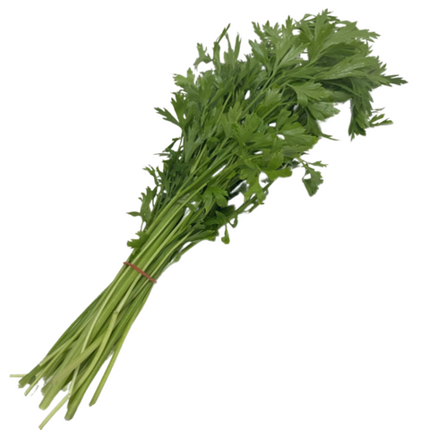 Parsley Continental Flat Leaf Bunch