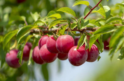 Get the Latest News from the Market