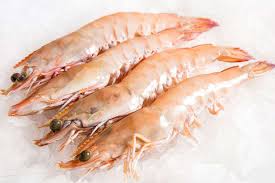 Prawns Green XL King Kg - South Australia