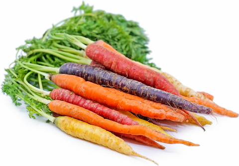 Heirloom Dutch Carrots Bunch