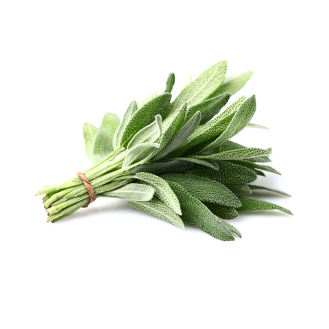 Sage Bunch