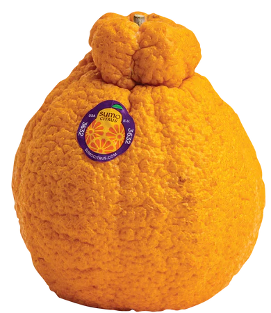 Mandarin Sumo Each
