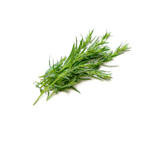 Tarragon Bunch