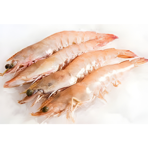 Prawns Green XL King Kg - South Australia