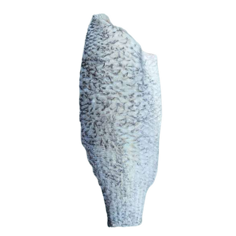 Barramundi Side Fillet Whole 800-1KG